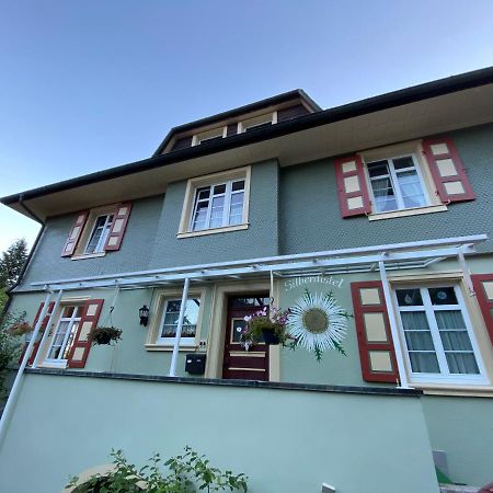 Ferienwohnung Haus Silberdistel Todtmoos Exterior foto