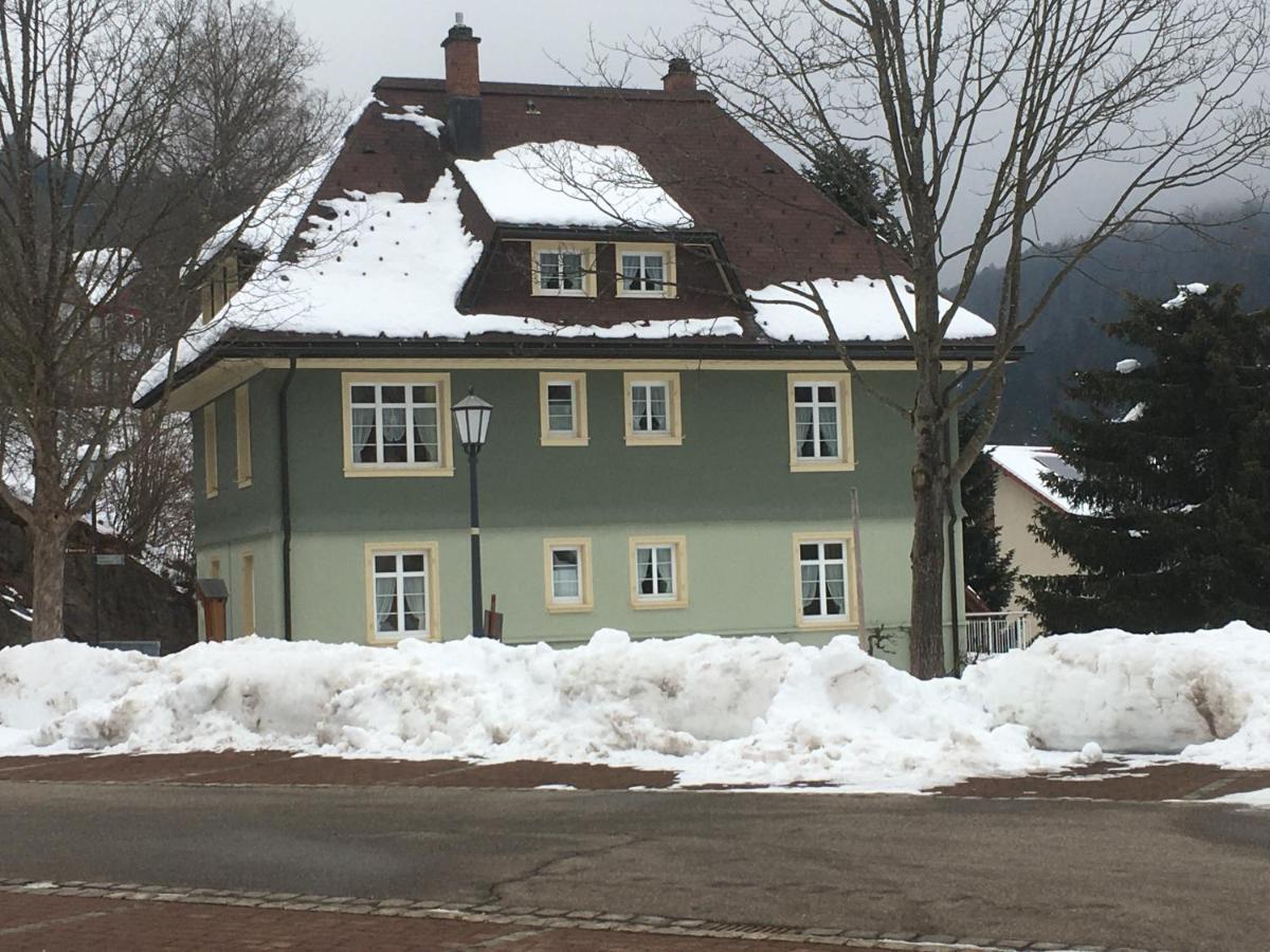 Ferienwohnung Haus Silberdistel Todtmoos Exterior foto