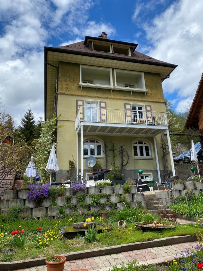 Ferienwohnung Haus Silberdistel Todtmoos Exterior foto